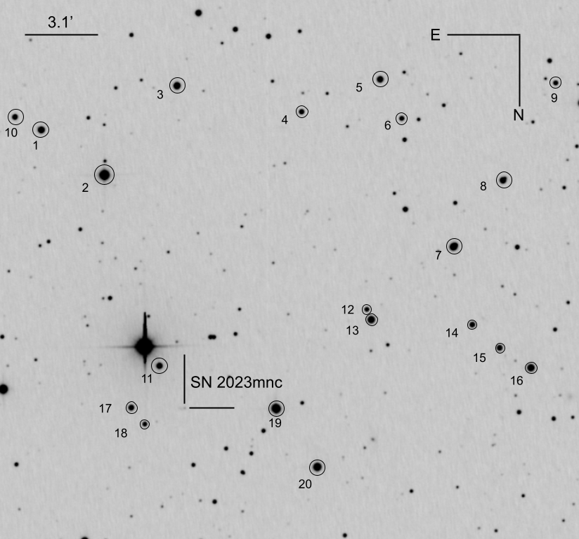 Supernovae Classification Research